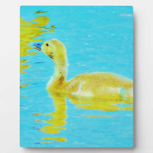 Gelbe Gänse mit hellblauem Wasser Fotoplatte (Vorderseite)