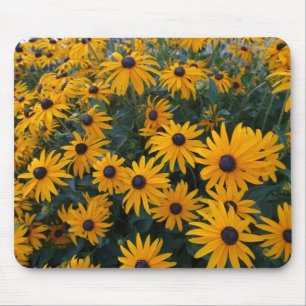 Gelbe Gänseblümchen-Gartenblumen. Mousepad