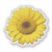 Gelbe Gänseblümchenblüten Aufkleber (Vorderseite)
