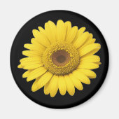 Gelbe Gänseblümchenblüten Magnet (Vorne)
