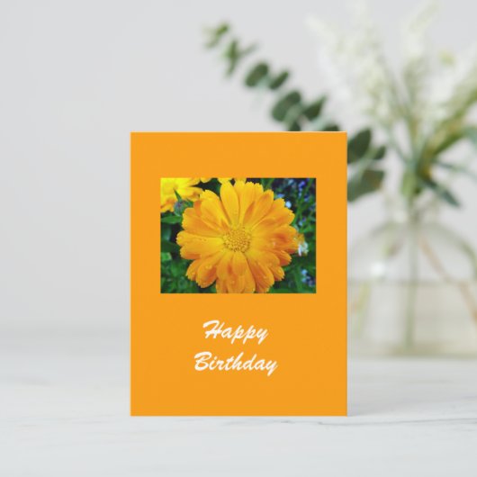 Gelbe Gänsehaut-Blume Postkarte (Stehend Vorderseite)