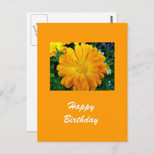 Gelbe Gänsehaut-Blume Postkarte (Vorne/Hinten)