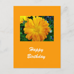 Gelbe Gänsehaut-Blume Postkarte