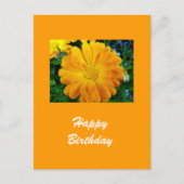 Gelbe Gänsehaut-Blume Postkarte (Vorderseite)