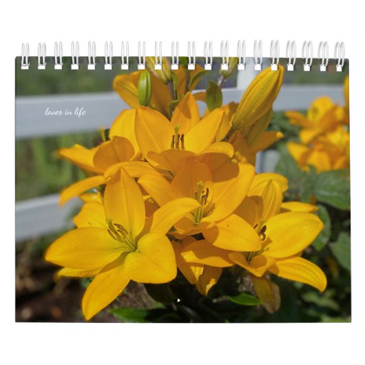 Gelbe Garden-Blume Kalender (Titelbild)