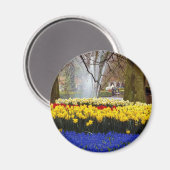Gelbe Gärten Keukenhof, Amsterdam, Niederlande Magnet (Vorderseite/Rückseite)