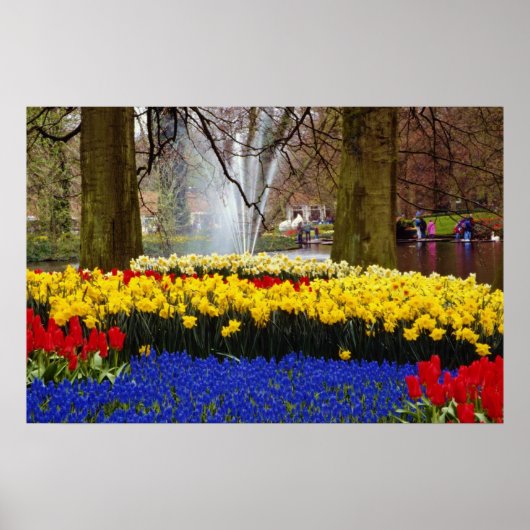 Gelbe Gärten Keukenhof, Amsterdam, Niederlande Poster (Vorne)