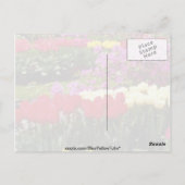 Gelbe Gärten Keukenhof, Amsterdam, Niederlande Postkarte (Rückseite)