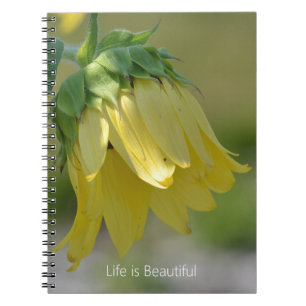 Gelbe Garten-Sonnenblume (meine Fotografie) Notizblock
