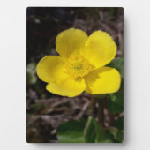 Gelbe Gartenanlage Blume Fotoplatte (Vorderseite)