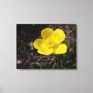 Gelbe Gartenanlage Blume Leinwanddruck