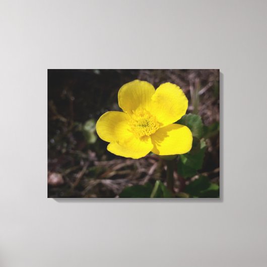 Gelbe Gartenanlage Blume Leinwanddruck (Vorderseite)