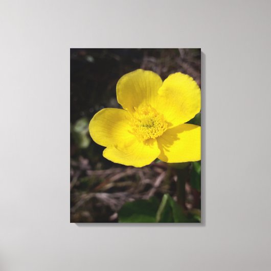 Gelbe Gartenanlage Blume Leinwanddruck (Vorderseite)