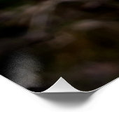 Gelbe Gartenanlage Blume Poster (Ecke)