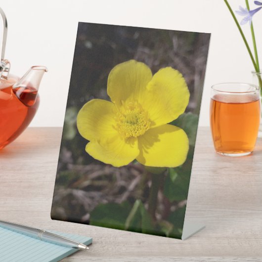 Gelbe Gartenanlage Blume Sockelschild (In Situ)