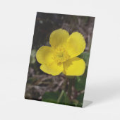 Gelbe Gartenanlage Blume Sockelschild (Vorderseite)