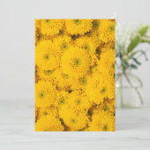 Gelbe Gartenaster Perfekte Blume im Sommer Einladung (Stehend Vorderseite)