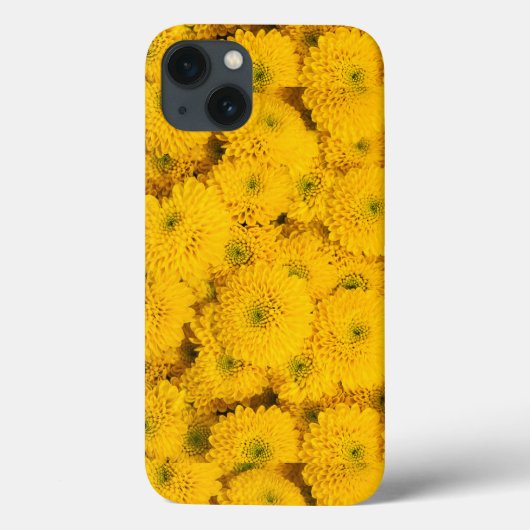 Gelbe Gartenastere Mums chrysanthemums Blume Case-Mate iPhone Hülle (Rückseite)