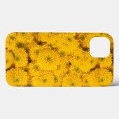 Gelbe Gartenastere Mums chrysanthemums Blume Case-Mate iPhone Hülle (Rückseite (Horizontal))