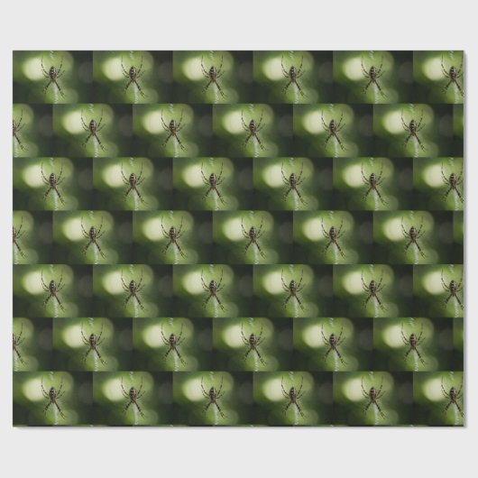 Gelbe Gartenspinne Geschenkpapier (Flach)