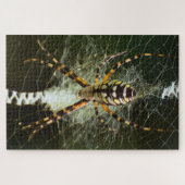 Gelbe Gartenspinne im Netz in Dunkelheit Puzzle (Horizontal)