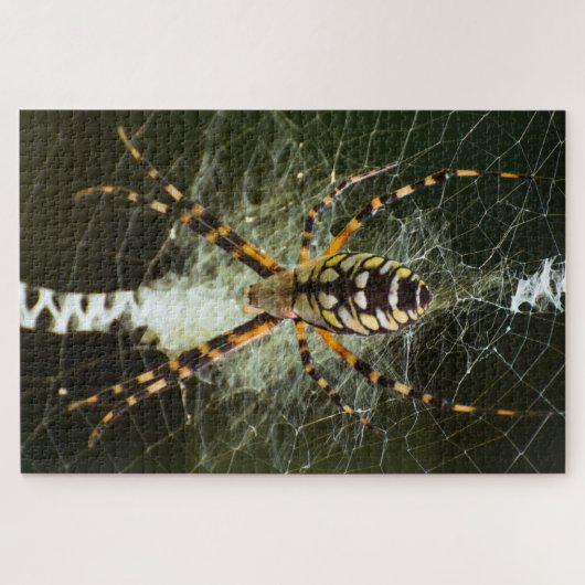 Gelbe Gartenspinne im Netz in Dunkelheit Puzzle (Horizontal)