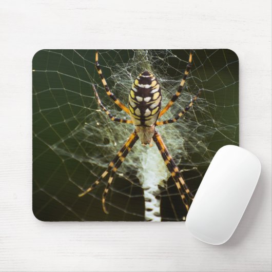 Gelbe Gartenspinne Mousepad (Mit Mouse)