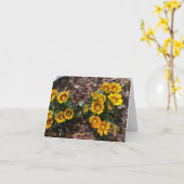 Gelbe Gazanias-Blume auf einer weißen Notenkarte Karte (Gelbe Blume)