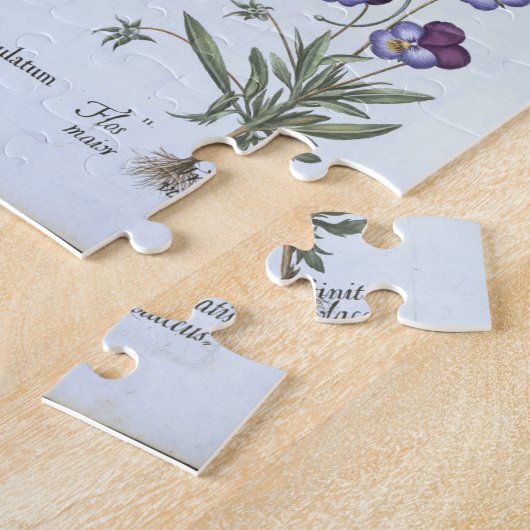 Gelbe gehörnte Mohnblume, vom 'Hortus Eystettensis Puzzle (Seite)