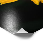 Gelbe Gelbblume Fotodruck (Ecke)