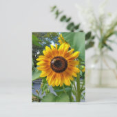 Gelbe Gelbblume mit Postkarte (Stehend Vorderseite)