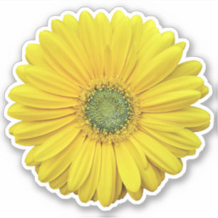 Gelbe Gerber Daisy Blume Kiss-Cut-Aufkleber Aufkleber