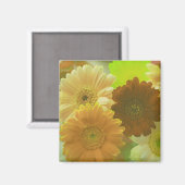 Gelbe Gerbera Daisy Blume Kühlschrank Magnete Magnet (Vorderseite/Rückseite)