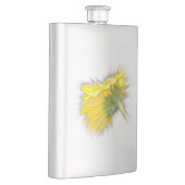 gelbe Gerbera-Marguerite Flachmann (Rechts)