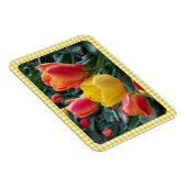 Gelbe Gingham-Karotulpen Gartenfoto Magnet (Rechte Seite)
