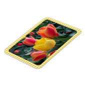 Gelbe Gingham-Karotulpen Gartenfoto Magnet (Linke Seite)