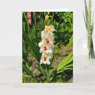 Gelbe Gladiole in meinem Garten Karte