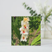 Gelbe Gladiole in meinem Garten Karte (Stehend Vorderseite)