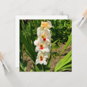 Gelbe Gladiole in meinem Garten Karte (Vorderseite/Rückseite Beispiel)