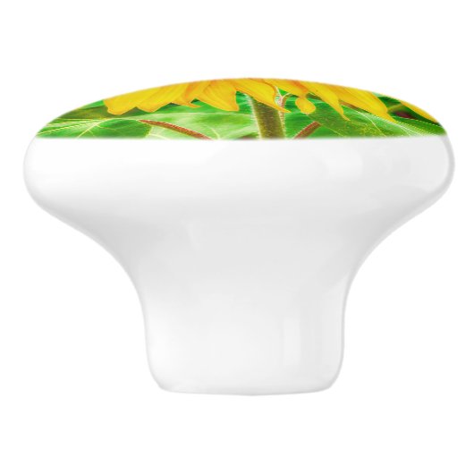 Gelbe grüne Blütenblume Keramikknauf (Seitenansicht)