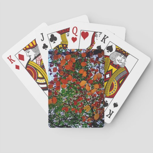 Gelbe, grüne und braune Blätter Spielkarten (Rückseite)
