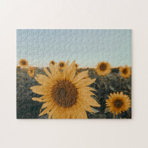 Gelbe Hardy Sonnenblume Bestes Sonnenblumen Foto Puzzle