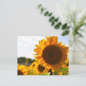 Gelbe Hardy Sonnenblume Kunst, Dichtung und Musik Postkarte (Stehend Vorderseite)