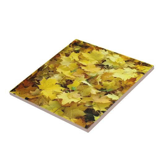 Gelbe Herbstblätter Fliese (Seite)