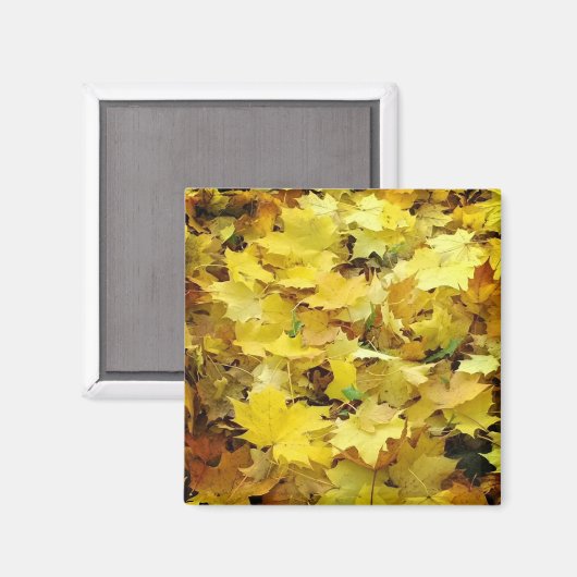 Gelbe Herbstblätter Magnet (Vorderseite/Rückseite)
