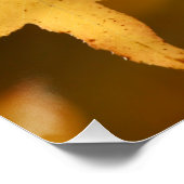 gelbe Herbstblätter Poster (Ecke)
