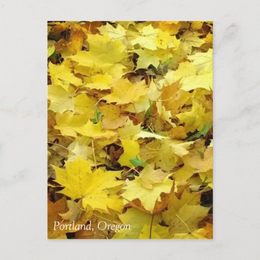 Gelbe Herbstblätter Postkarte (Vorderseite)