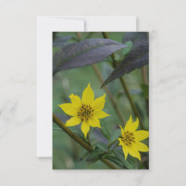 Gelbe Herbstblume Mitteilungskarte
