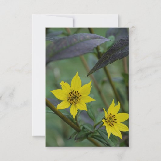 Gelbe Herbstblume Mitteilungskarte (Vorderseite)