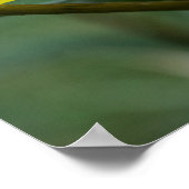 Gelbe Herbstblume Poster (Ecke)